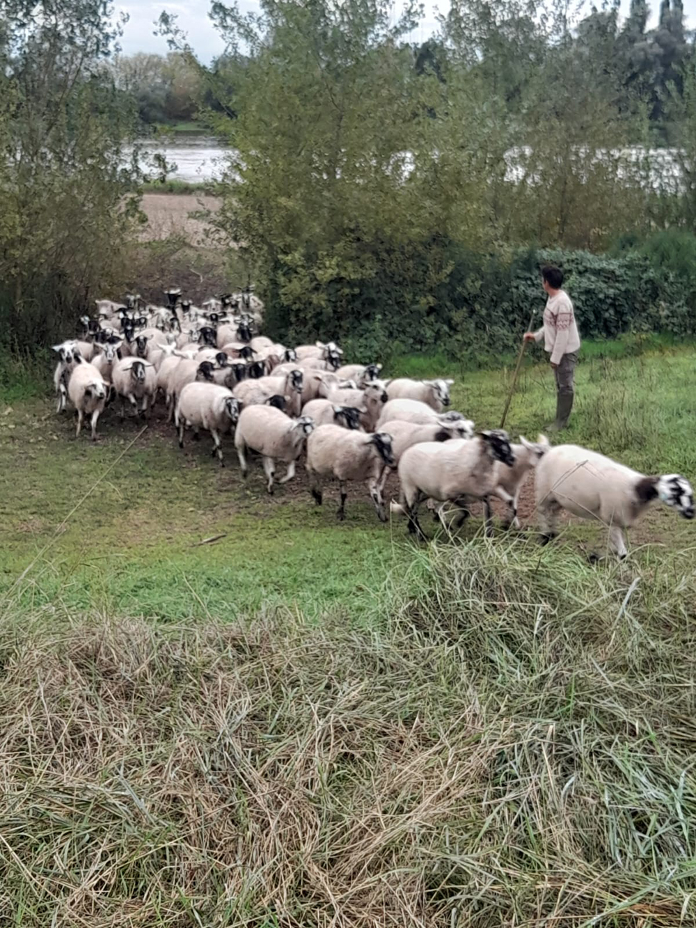 0fdd60b9-3e45-41cb-b5b7-1bdcbcf6853b