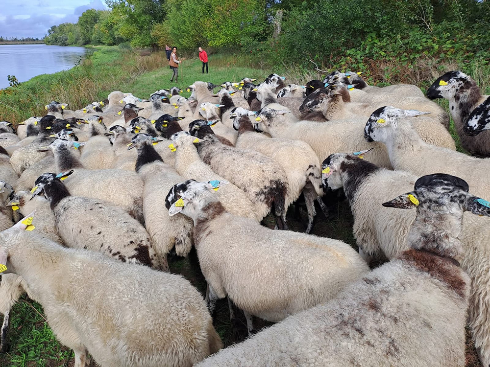 bbcba676-214c-412d-84e9-316ce59eba7f