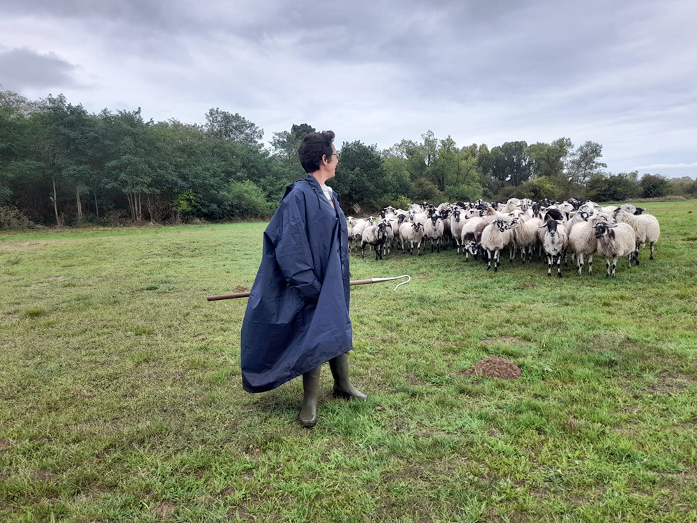 f9f7c5b1-0a7f-4a7d-880b-a1d61e364155