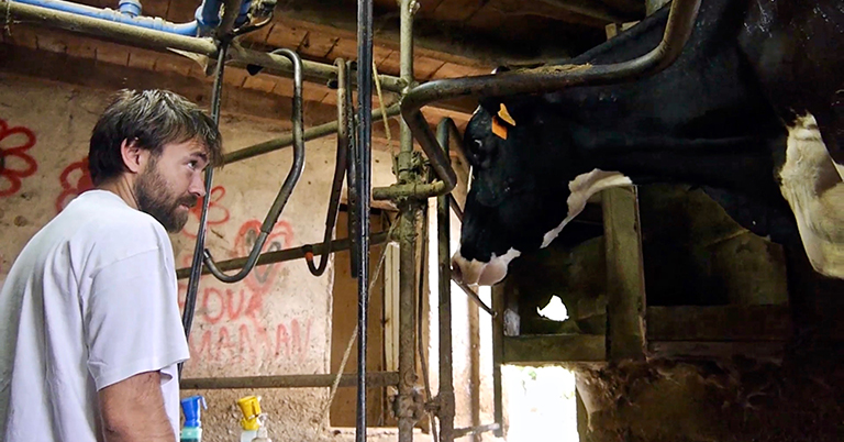 Les vaches n’auront plus de nom © Hubert Charuel